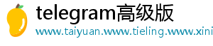 telegram高级版
